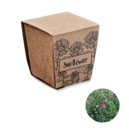 SUNFLOWER KIT · Kit de tournesol MO2411-13