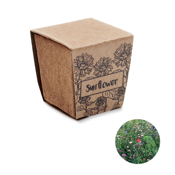 SUNFLOWER KIT · Kit de tournesol MO2411-13