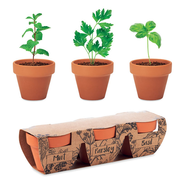 FLOWERPOT · 3 pots en terre MO6145-40