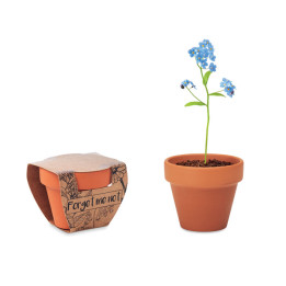 FORGET ME NOT · Pot graines de myosotis MO6146-40