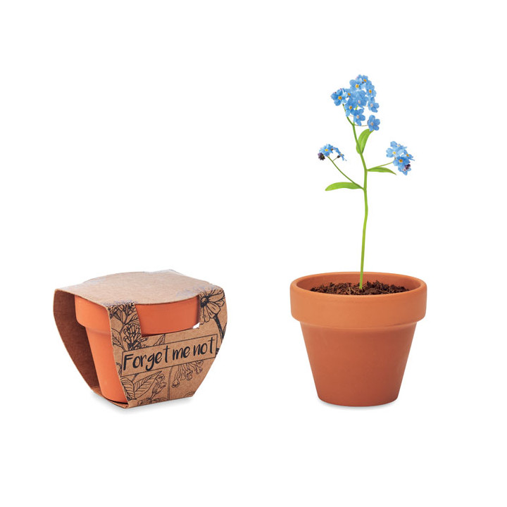 FORGET ME NOT · Pot graines de myosotis MO6146-40