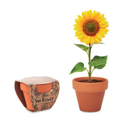 SUNFLOWER · Pot graines de tournesol MO6147-40