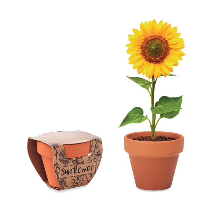 SUNFLOWER · Pot graines de tournesol MO6147-40