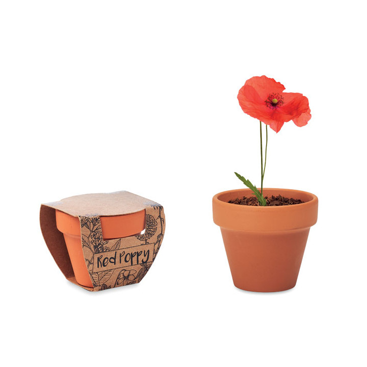 RED POPPY · Pot graines de coquelicot MO6148-40