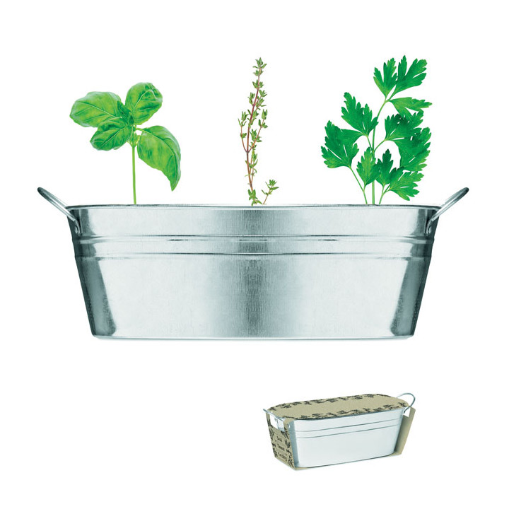 MIX SEEDS · Bac en zinc & herbes aromatique MO6497-16