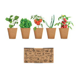 SALAD · Kit de culture de salade MO6499-13