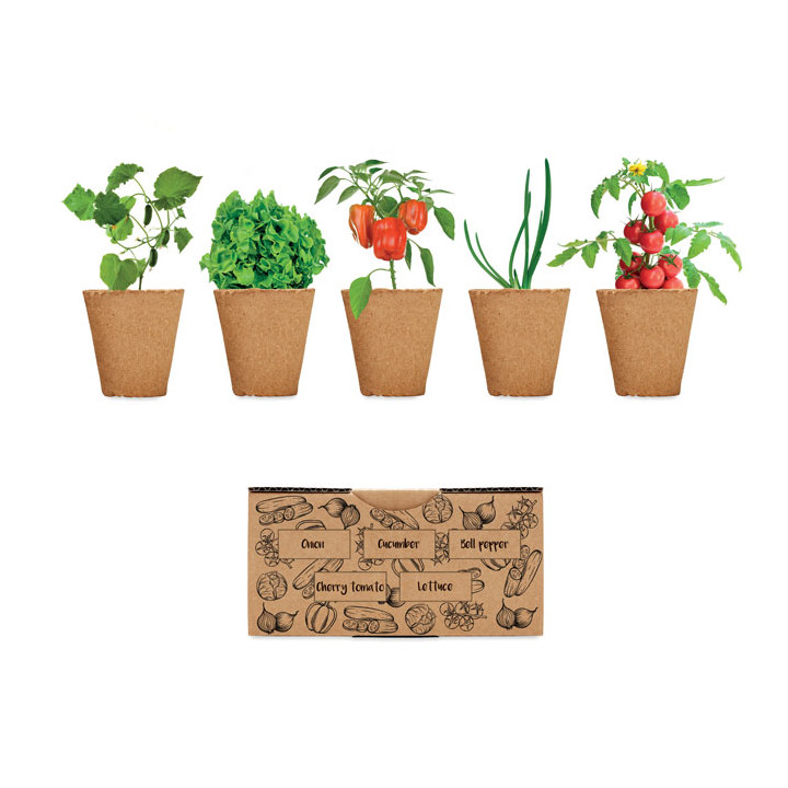 SALAD · Kit de culture de salade MO6499-13
