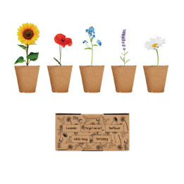 FLOWERS · Kit de culture de fleurs MO6500-13