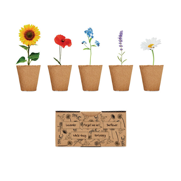 FLOWERS · Kit de culture de fleurs MO6500-13