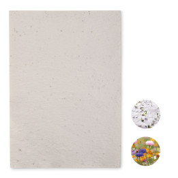 ASIDI · Papier A4 graines de fleurs MO6914-06