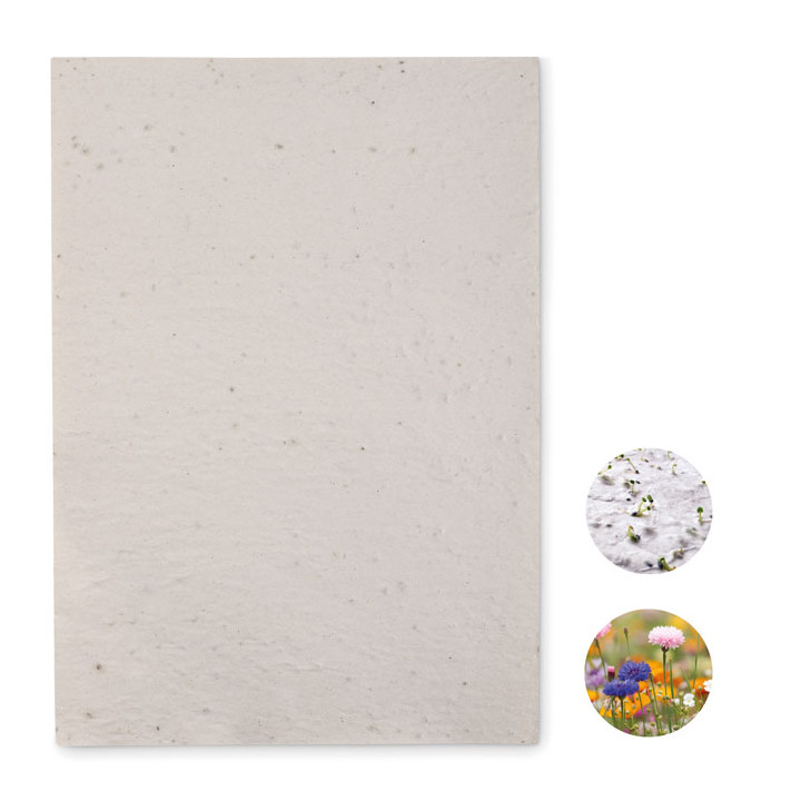ASIDI · Papier A4 graines de fleurs MO6914-06