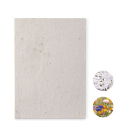 ASIDE · Papier A5 graines de fleurs MO6915-06