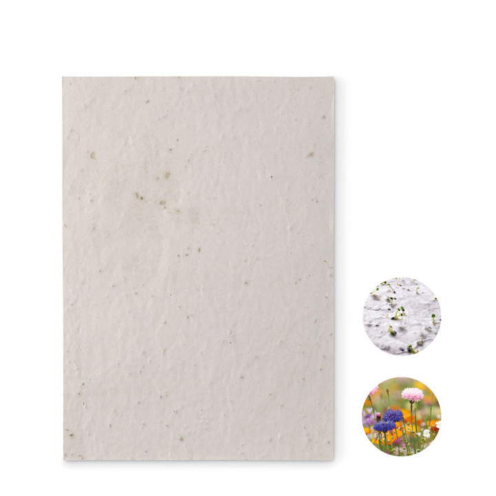 ASIDE · Papier A5 graines de fleurs MO6915-06