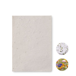 ASIDO · Papier A6 graines de fleurs MO6916-06