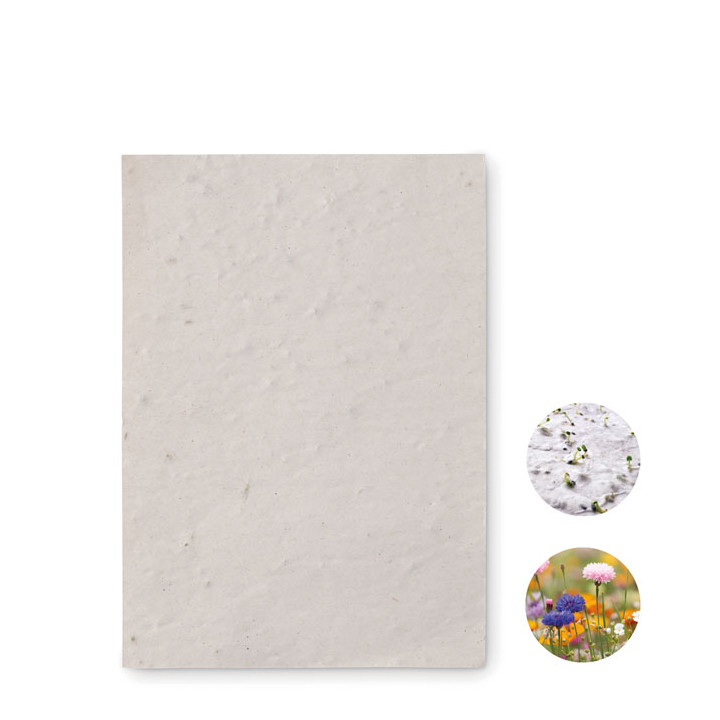 ASIDO · Papier A6 graines de fleurs MO6916-06