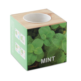 MENTA · Pot en bois avec graine MO9337-40