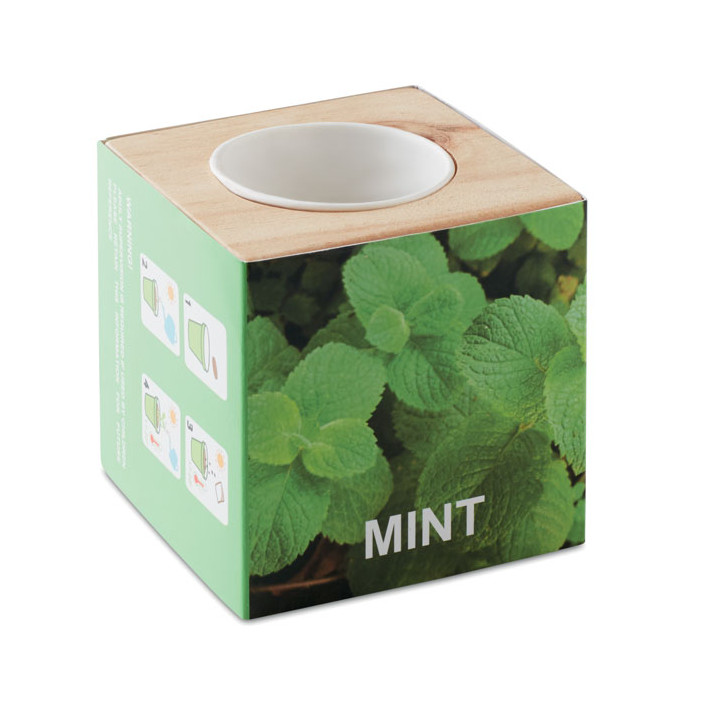 MENTA · Pot en bois avec graine MO9337-40