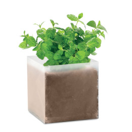 MINT · Substrat avec graines Menthe MO9546-13