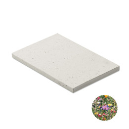 SEED BOOK · Carnet A5 couv. papier semence MO2082-06