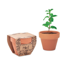 MINT POT · Pot avec graines de menthe MO2218-40