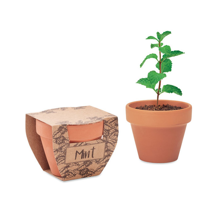 MINT POT · Pot avec graines de menthe MO2218-40