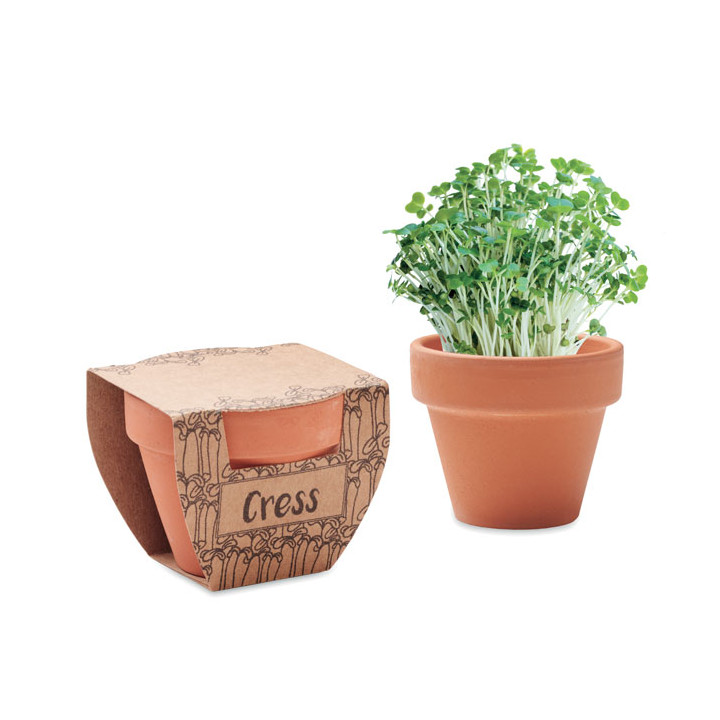 CRESS POT · Pot avec graines de cresson MO2219-40